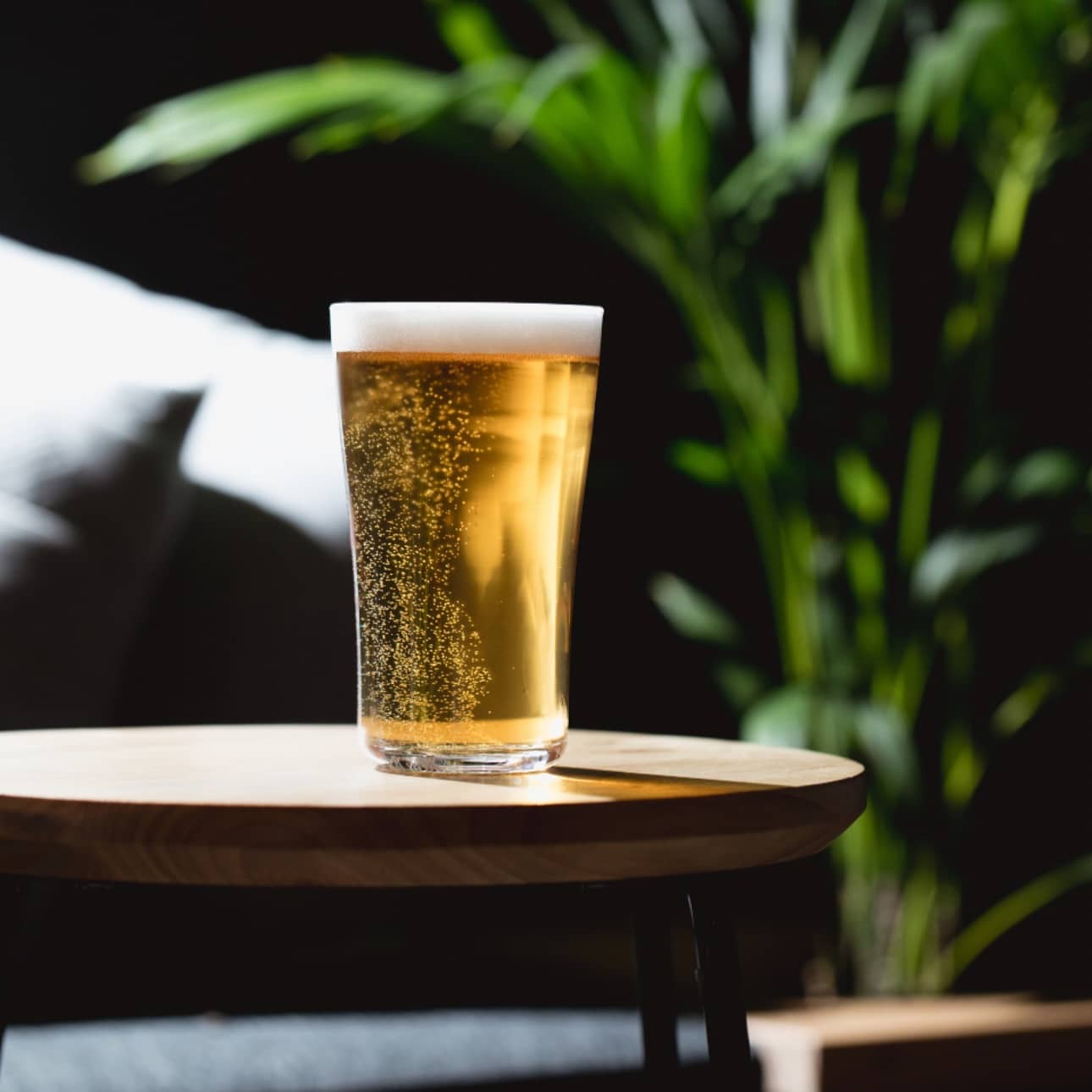 Schooner of Beer